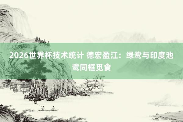 2026世界杯技术统计 德宏盈江:绿鹭与印度池鹭同框觅食