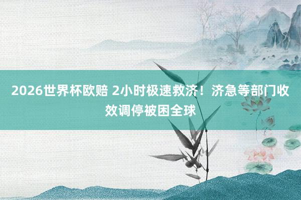 2026世界杯欧赔 2小时极速救济!济急等部门收效调停被困全球