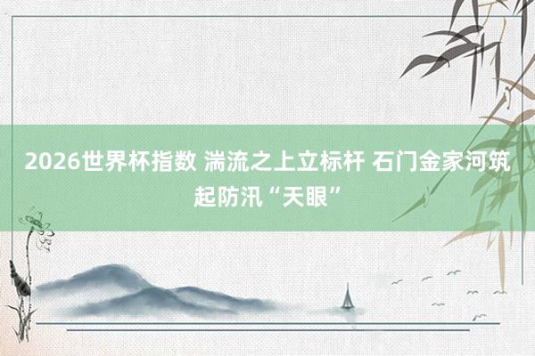 2026世界杯指数 湍流之上立标杆 石门金家河筑起防汛“天眼”