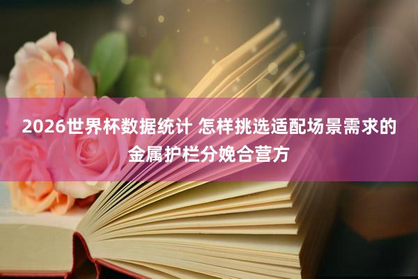 2026世界杯数据统计 怎样挑选适配场景需求的金属护栏分娩合营方