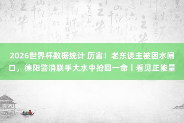 2026世界杯数据统计 历害!老东谈主被困水闸口,德阳警消联手大水中抢回一命丨看见正能量