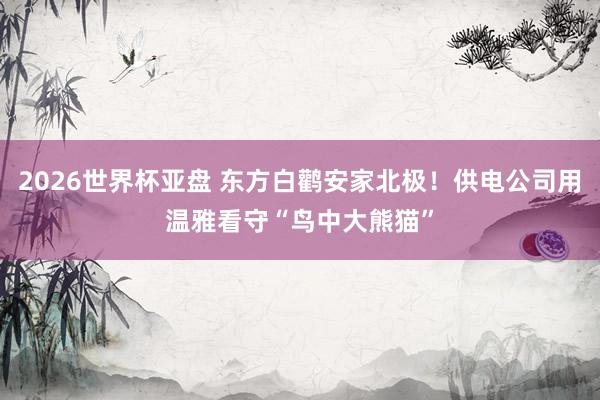 2026世界杯亚盘 东方白鹳安家北极!供电公司用温雅看守“鸟中大熊猫”