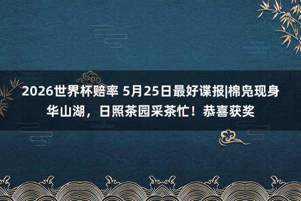 2026世界杯赔率 5月25日最好谍报|棉凫现身华山湖,日照茶园采茶忙!恭喜获奖