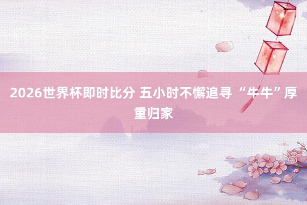 2026世界杯即时比分 五小时不懈追寻 “牛牛”厚重归家