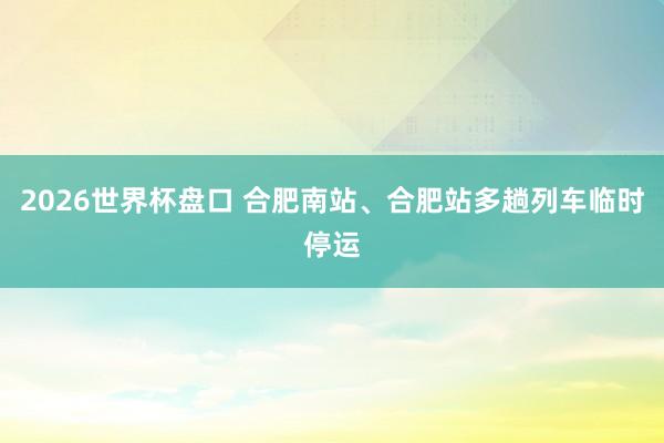 2026世界杯盘口 合肥南站、合肥站多趟列车临时停运