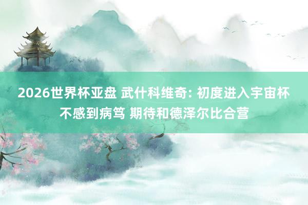 2026世界杯亚盘 武什科维奇: 初度进入宇宙杯不感到病笃 期待和德泽尔比合营