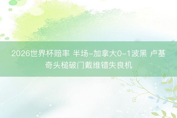 2026世界杯赔率 半场-加拿大0-1波黑 卢基奇头槌破门戴维错失良机