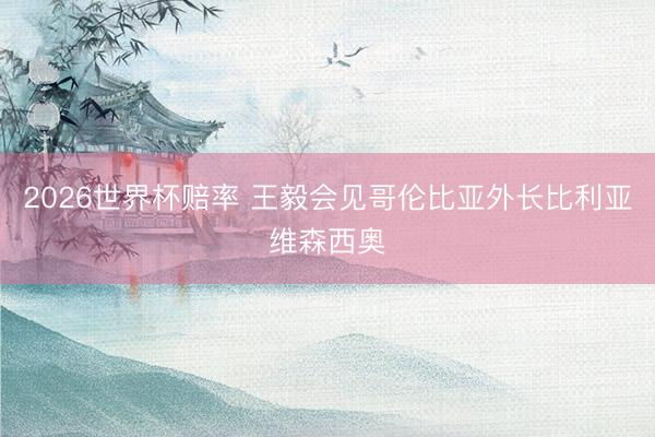 2026世界杯赔率 王毅会见哥伦比亚外长比利亚维森西奥