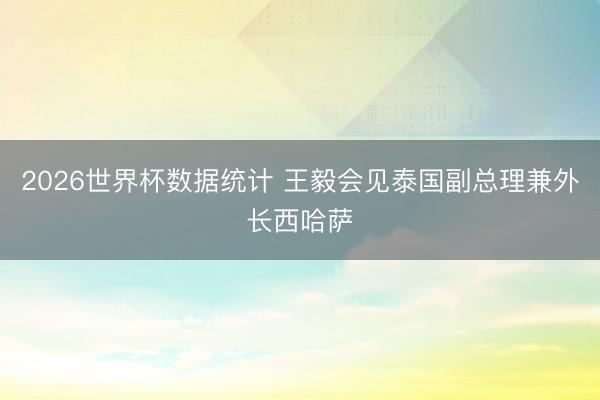 2026世界杯数据统计 王毅会见泰国副总理兼外长西哈萨