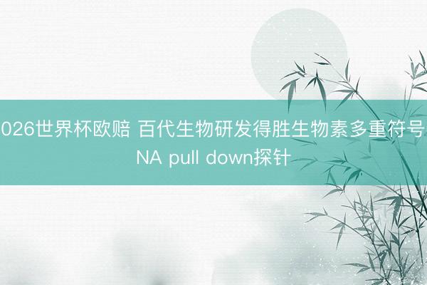 2026世界杯欧赔 百代生物研发得胜生物素多重符号DNA pull down探针